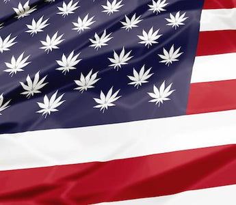 Cannabis Flag