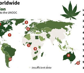 Cannabis worldwide graph