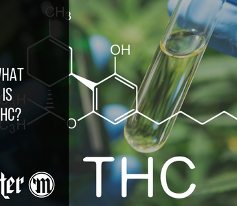 What Is THC, And What’s It Used For?